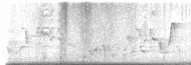 drozdec černohlavý - ML618588165