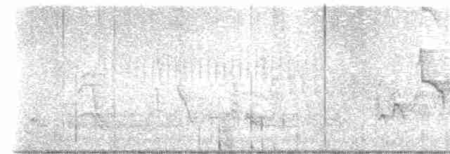drozdec černohlavý - ML618588167