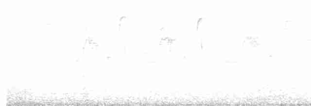 lesňáček modrokřídlý - ML618588314