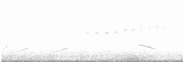 Prairie Warbler - ML618588981