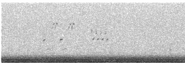 オリーブチャツグミ - ML618590106