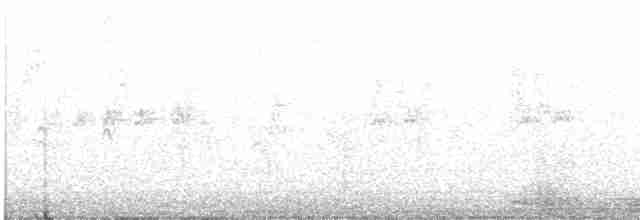 Тауї плямистий - ML618590209