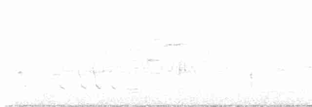 Common Yellowthroat - ML618590808
