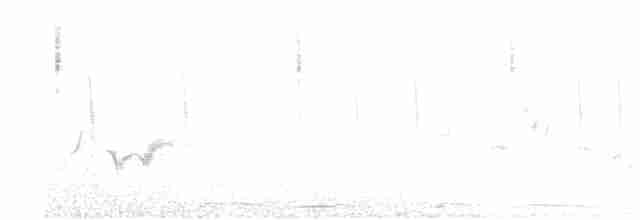 Піранга пломениста - ML618590825