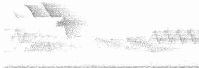 Cerulean Warbler - ML618590877