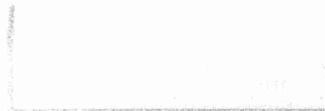 Трясогузковый певун - ML618591334