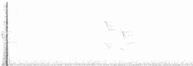 Graustirn-Dickichtschlüpfer - ML618591605