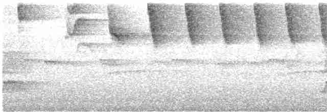 Желтоклювый тохи (flavirostris) - ML618591895