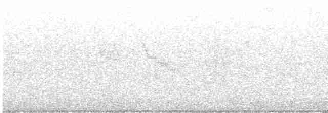 gråkinnskogtrost - ML618591956