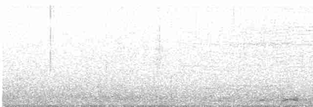 Белокрылая горлица - ML618592043