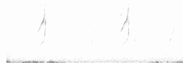 Sivri Gagalı Sepetören - ML618592254