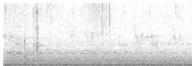 Дрізд-короткодзьоб плямистоволий - ML618592379