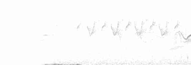 Чагарниця темноброва - ML618592850