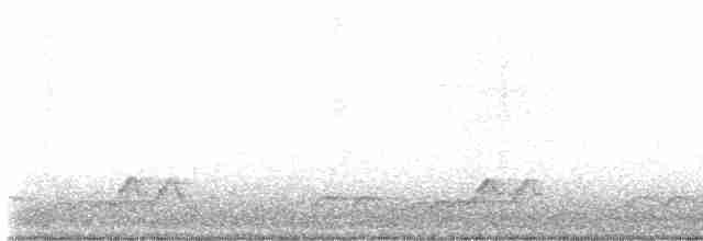 Schwarzkehl-Nachtschwalbe - ML618592984