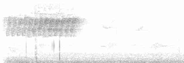 Paruline vermivore - ML618594825