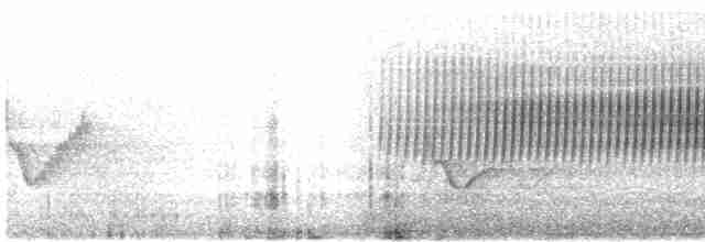 Малая воробьиная овсянка - ML618595293