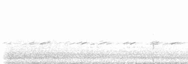 Büyük Çil Yelvesi - ML618595709