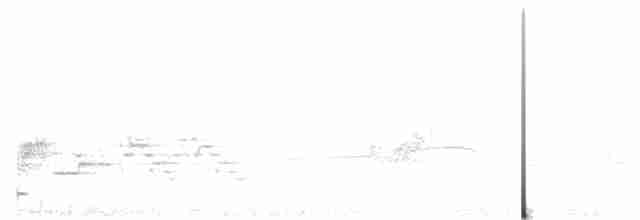 Münzevi Bülbül Ardıcı - ML618595731