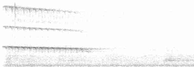 White-throated Kingfisher - ML618596882