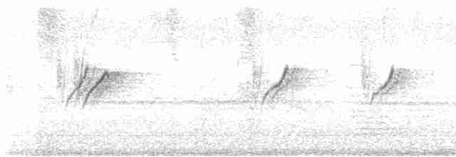 Атласная нектарница - ML618596921