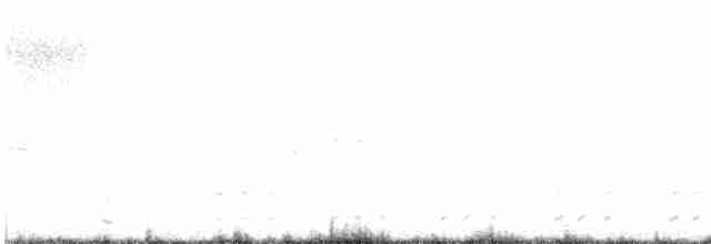 Common Gallinule - ML618597927