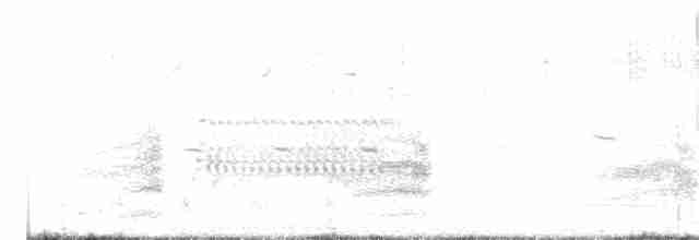 裏海燕鷗 - ML618597982