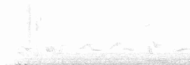 Черноголовый толстонос - ML618598841