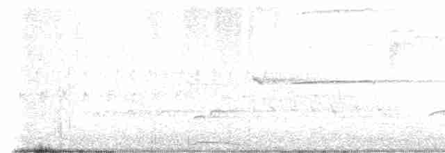 Ширококрылый канюк - ML618598999
