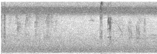 Сероголовый бентеви - ML618599155