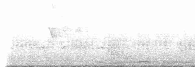 hrdlička kropenatá - ML618599932
