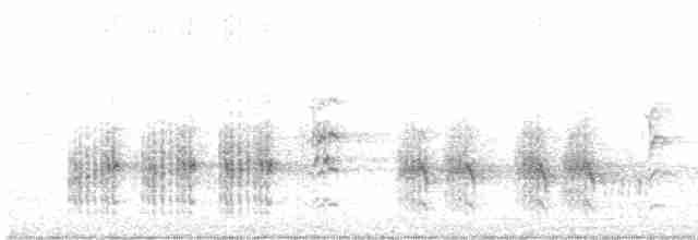Great Reed Warbler - ML618599962