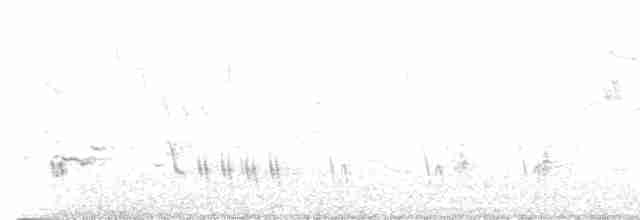 Great Reed Warbler - ML618600473