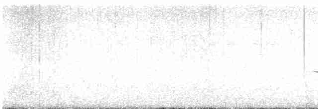 Трав’янка чорна - ML618600875