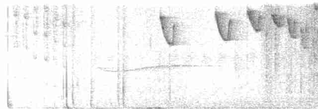 Бронзовый колибри-отшельник - ML618601473