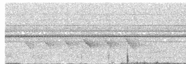 Kara Gerdanlı Terzikuşu - ML618601604