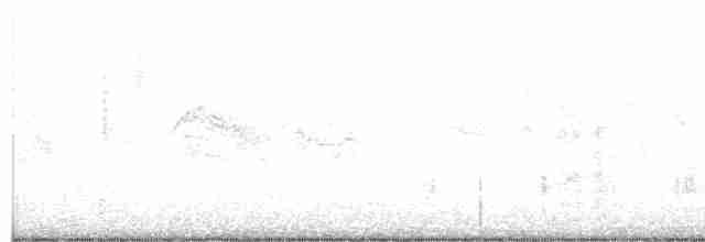 Great Reed Warbler - ML618601775