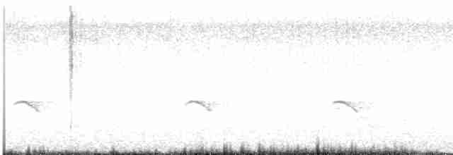 Rusty-tailed Flycatcher - ML618602180