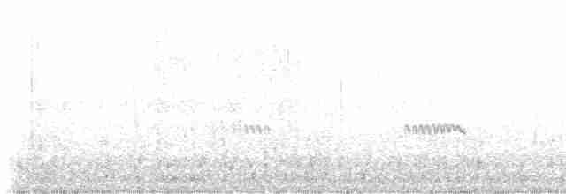 Kara Karınlı Kumkuşu - ML618602349