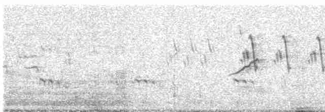 White-throated Kingfisher - ML618603355