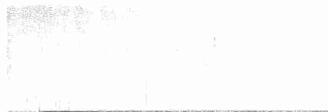 Cerulean Warbler - ML618604619