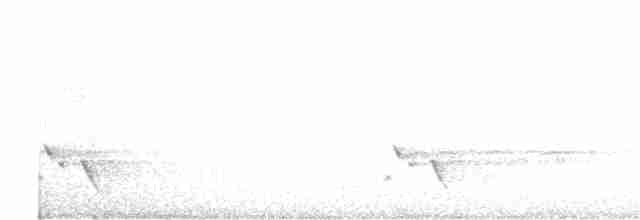 Streifenpanthervogel - ML618605552