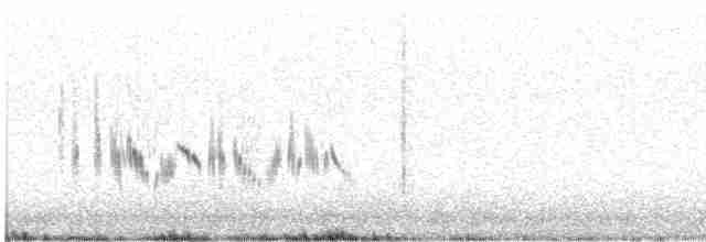 Western Black-eared Wheatear - ML618606385