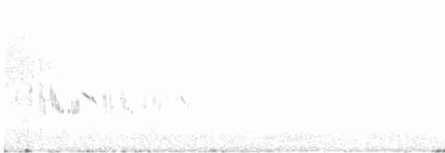Western Black-eared Wheatear - ML618606461