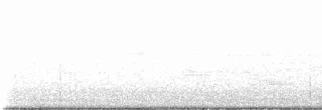 brunkinnskogtrost (swainsoni gr.) - ML618606632