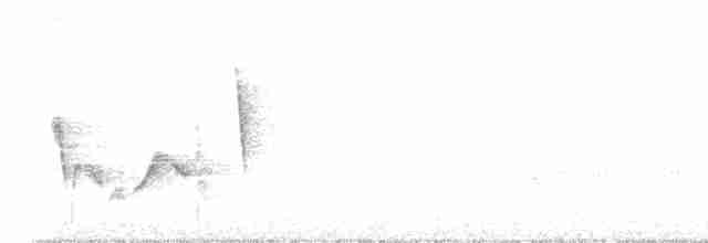 White-eyed Vireo - ML618609615