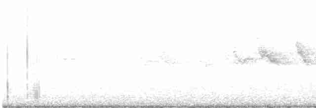 Swinhoe's White-eye - ML618610101