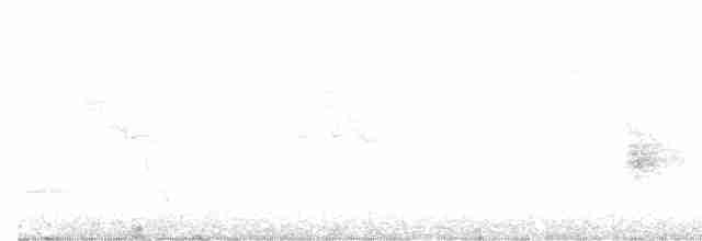 Черная райская мухоловка - ML618610914