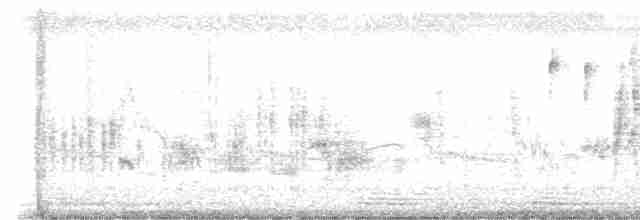 Black-browed Reed Warbler - ML618610918