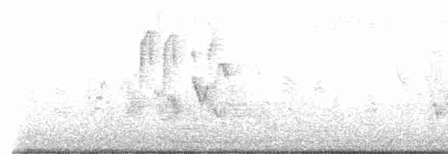 白頰山雀 - ML618611020