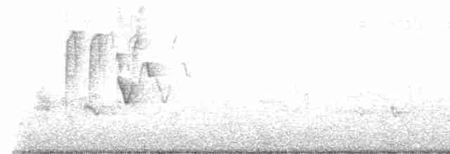 白頰山雀 - ML618611021